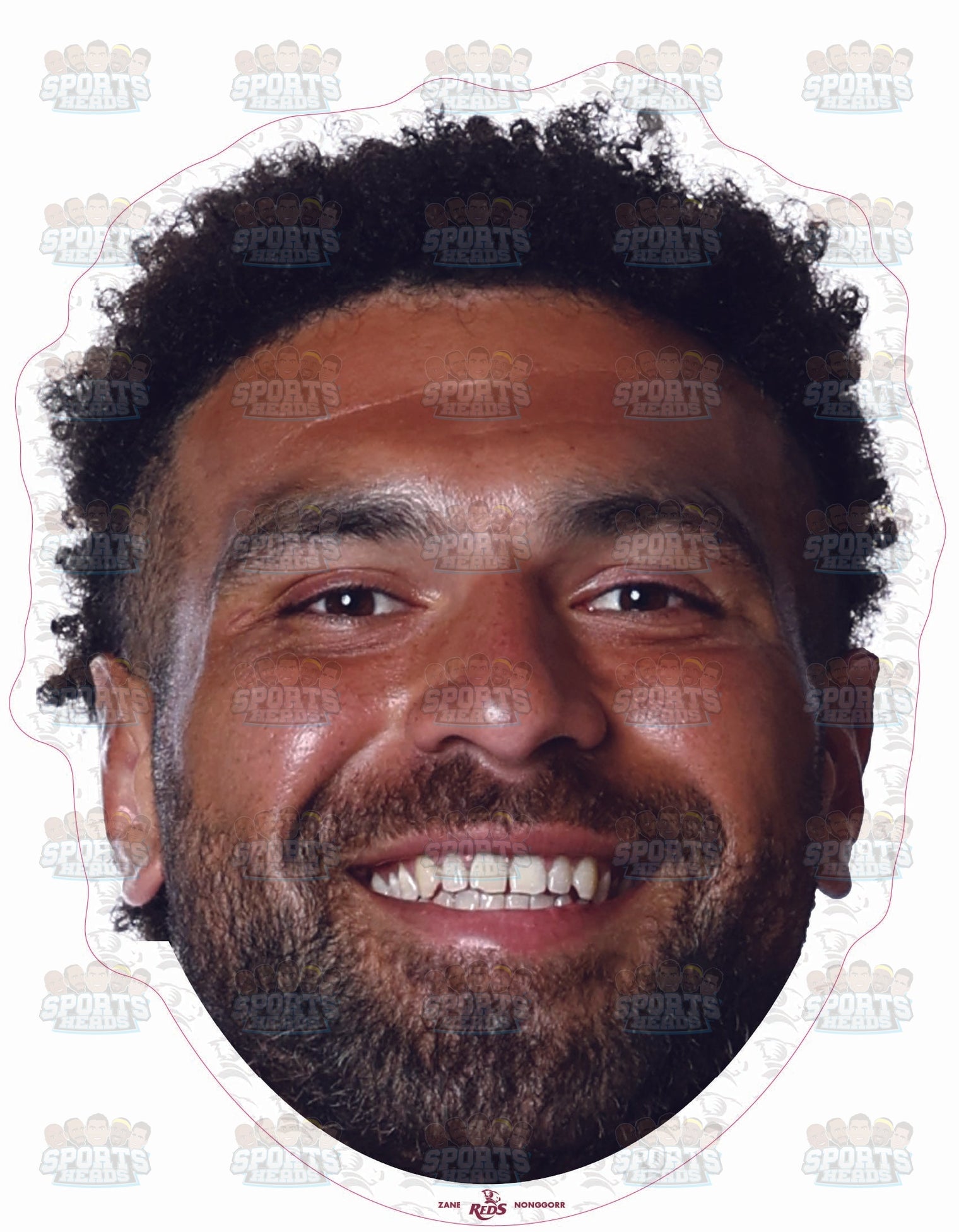 Zane Nonggorr