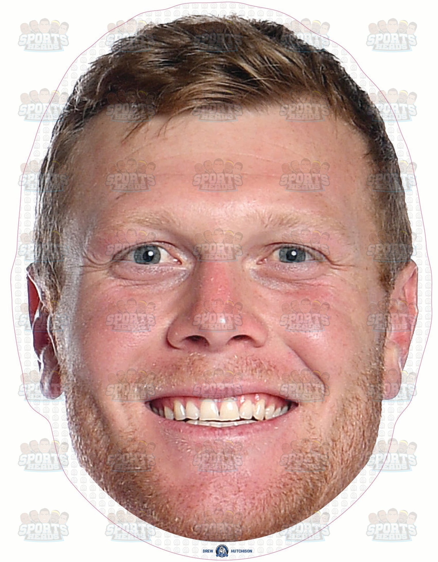 Drew Hutchison