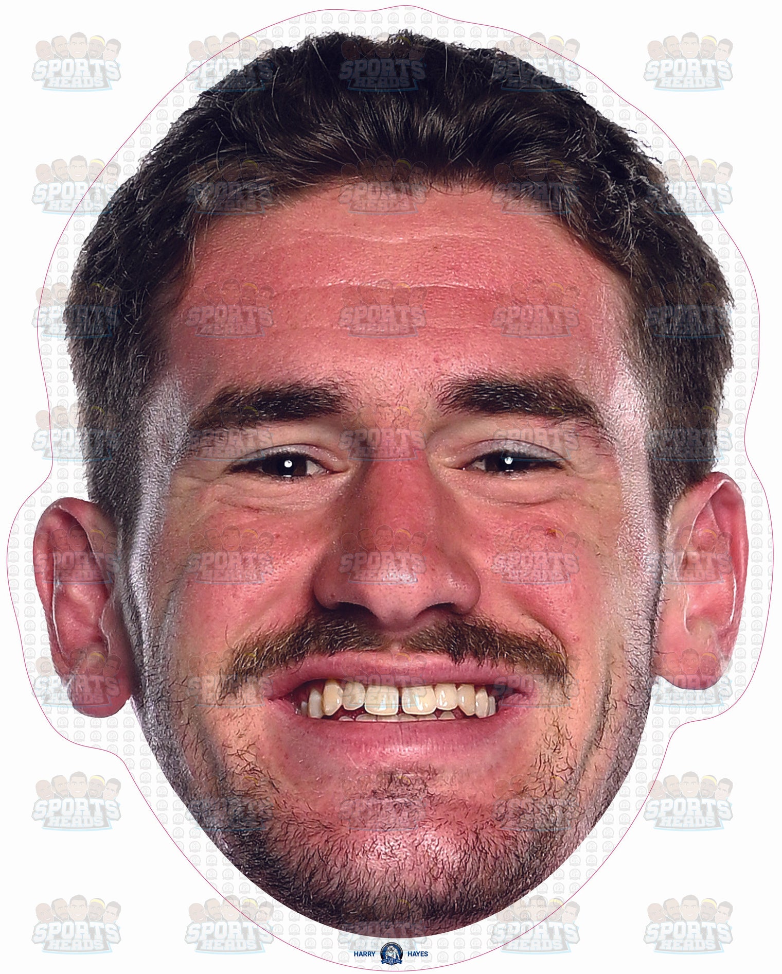 Harry Hayes