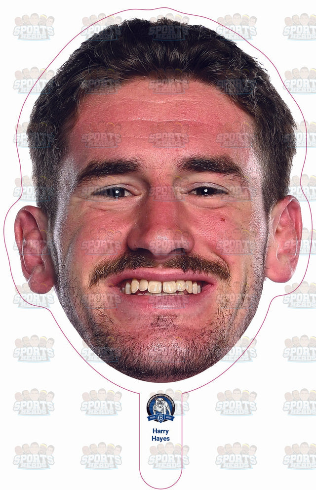 Harry Hayes