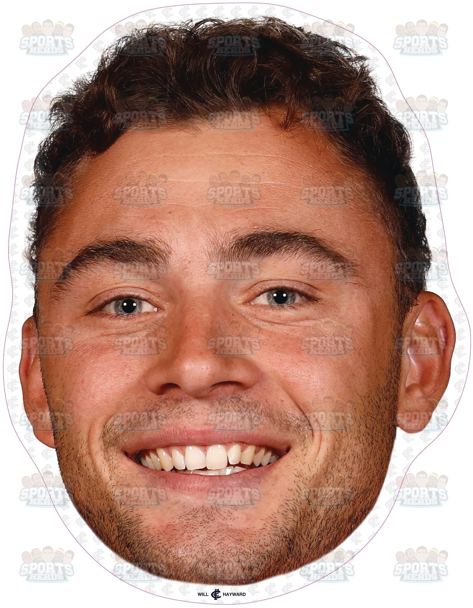 Will Hayward