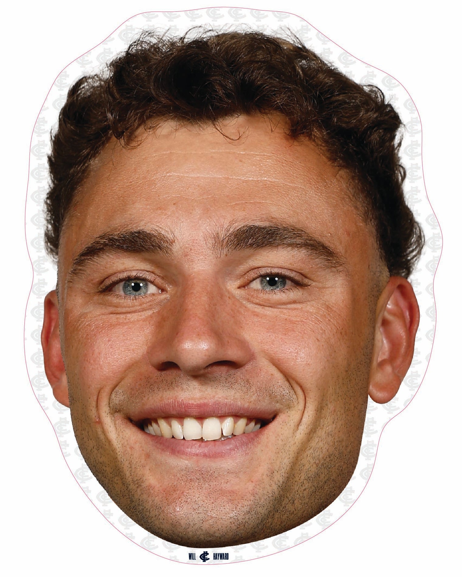 Will Hayward