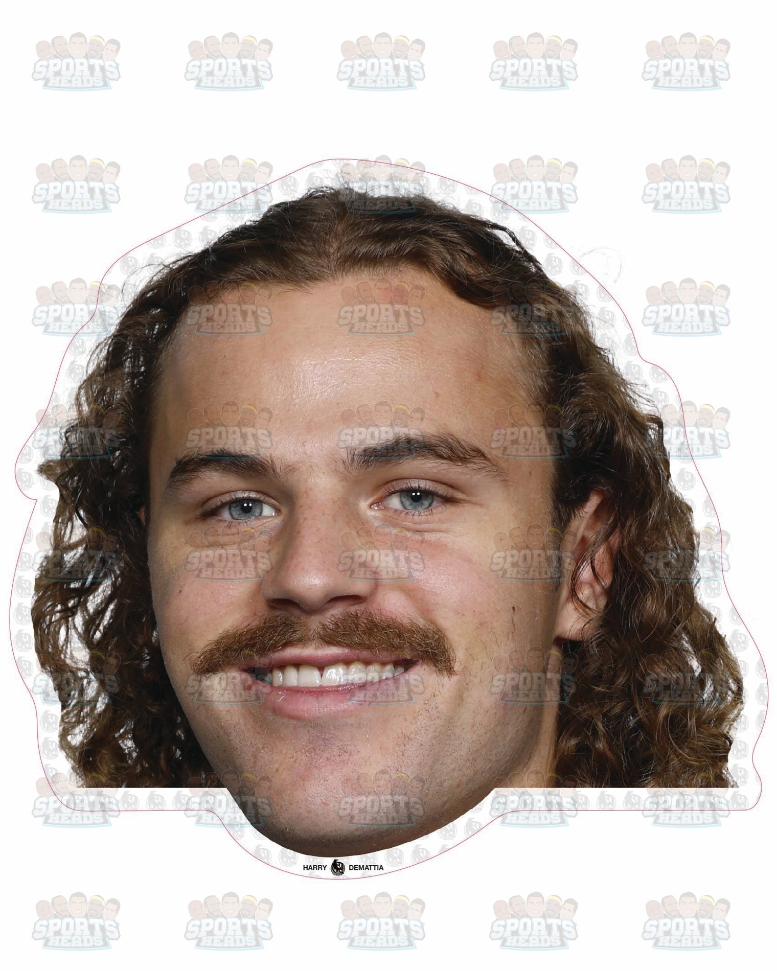 Harry Demattia