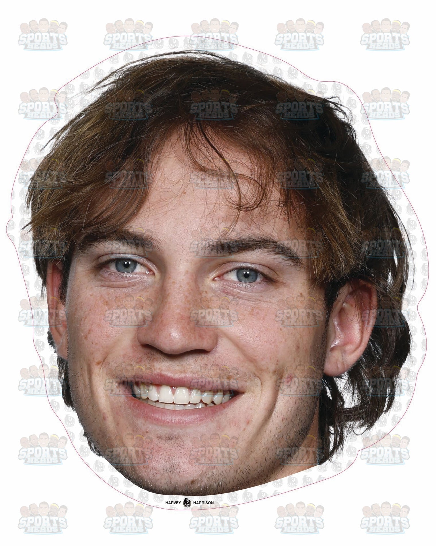 Harvey Harrison