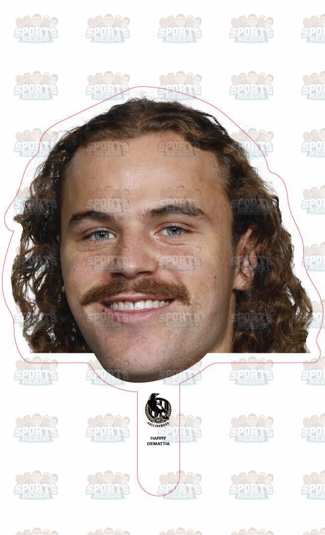 Harry Demattia