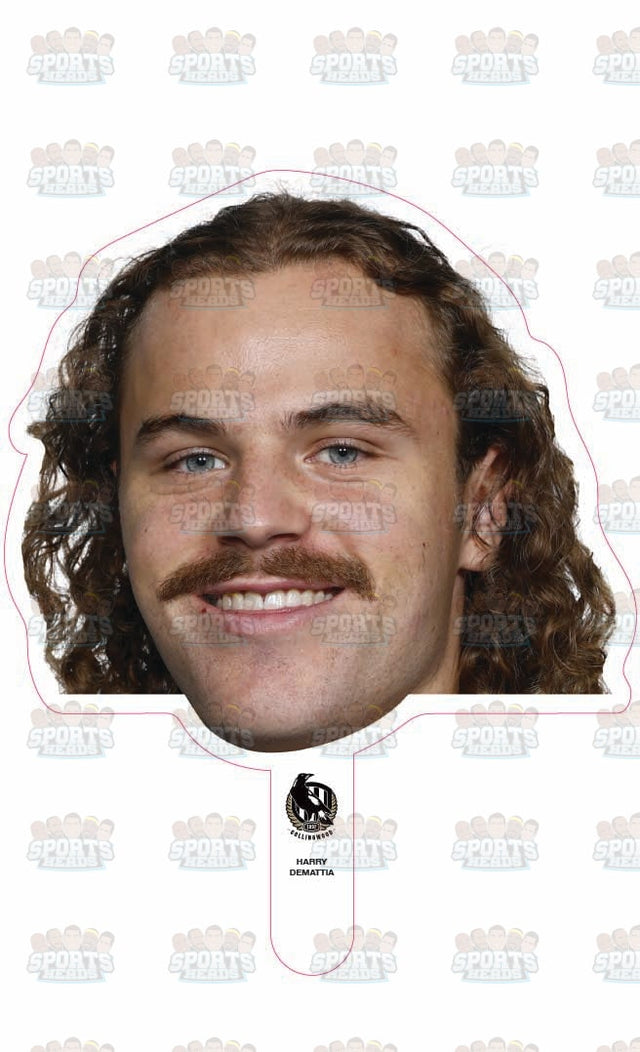 Harry Demattia
