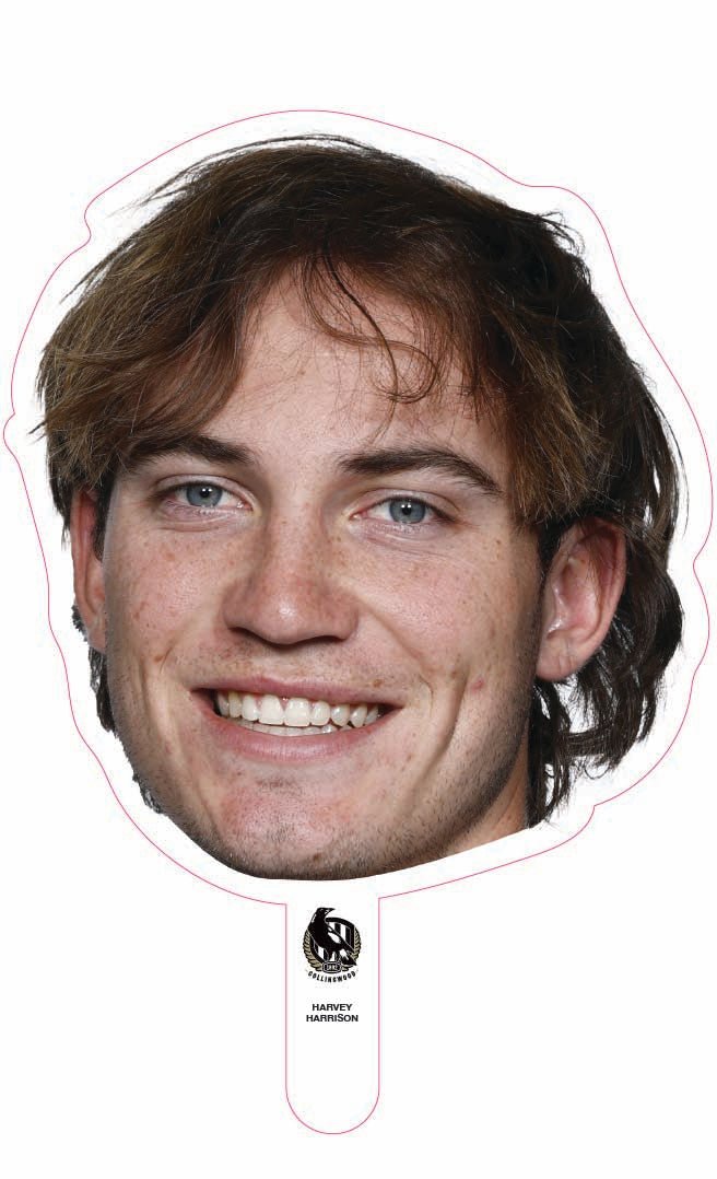 Harvey Harrison