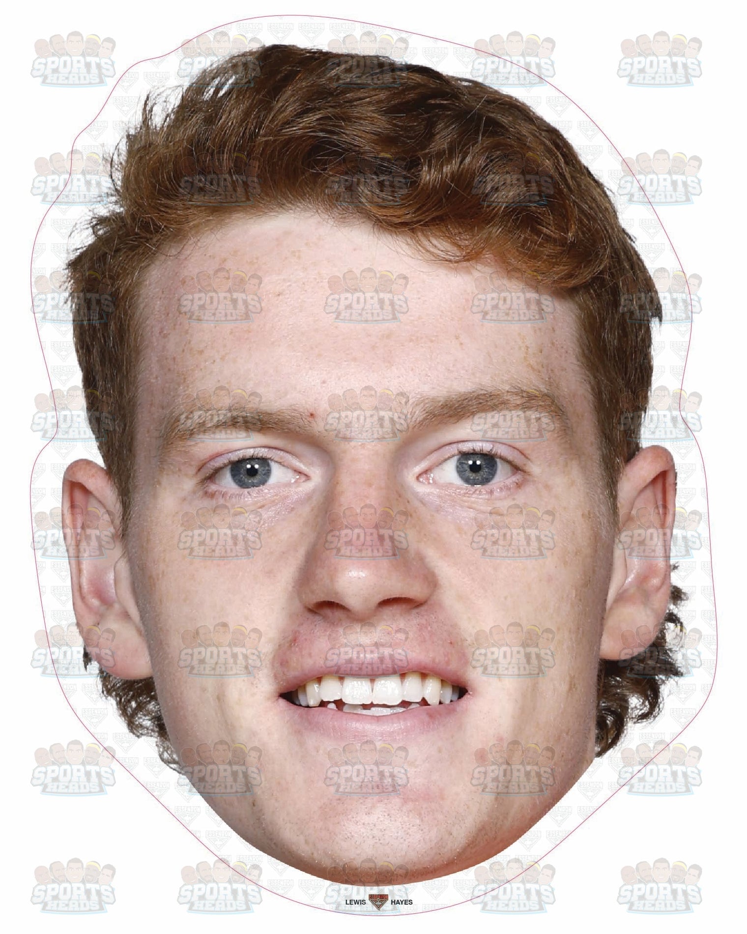 Lewis Hayes