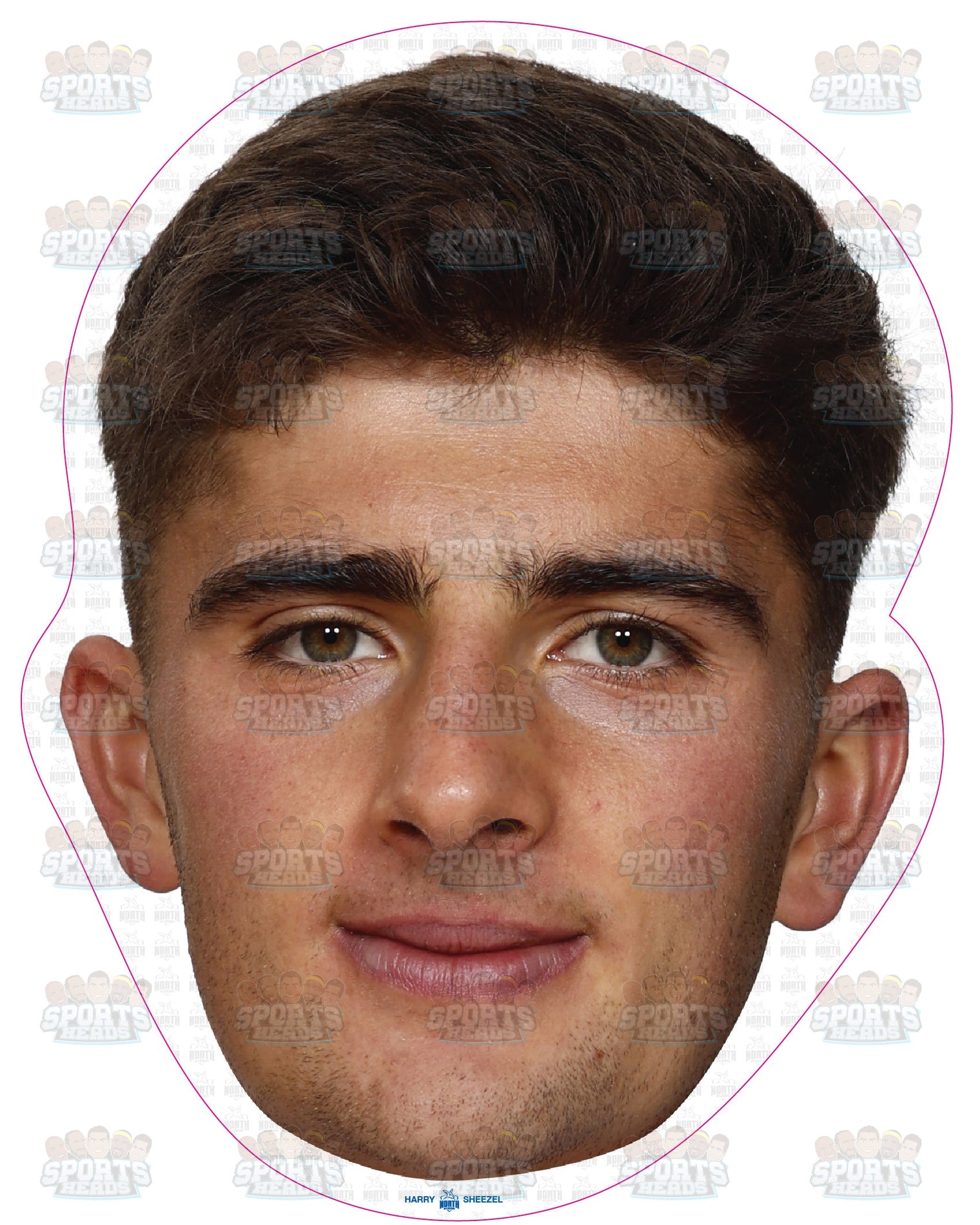 Harry Sheezel