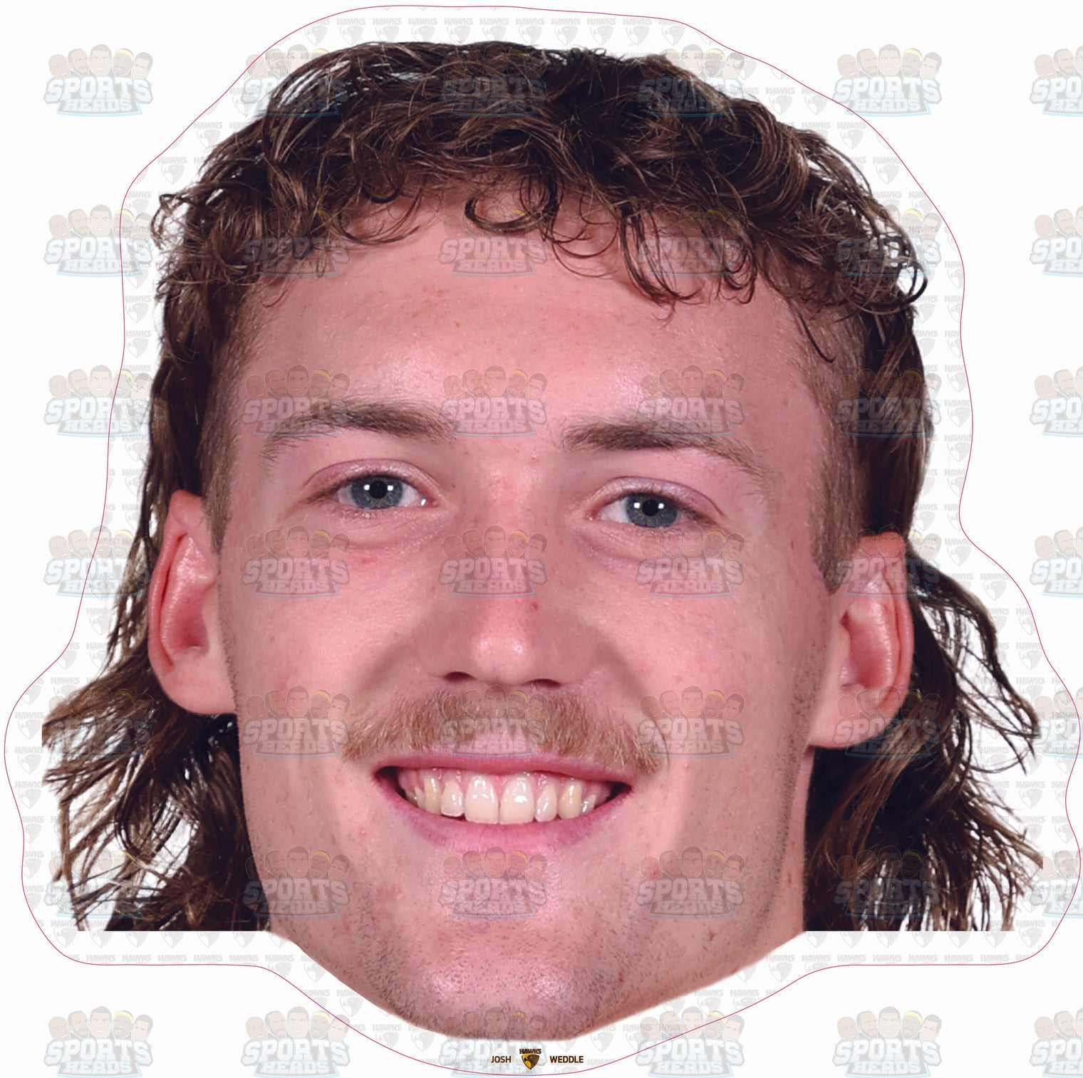 Josh Weddle
