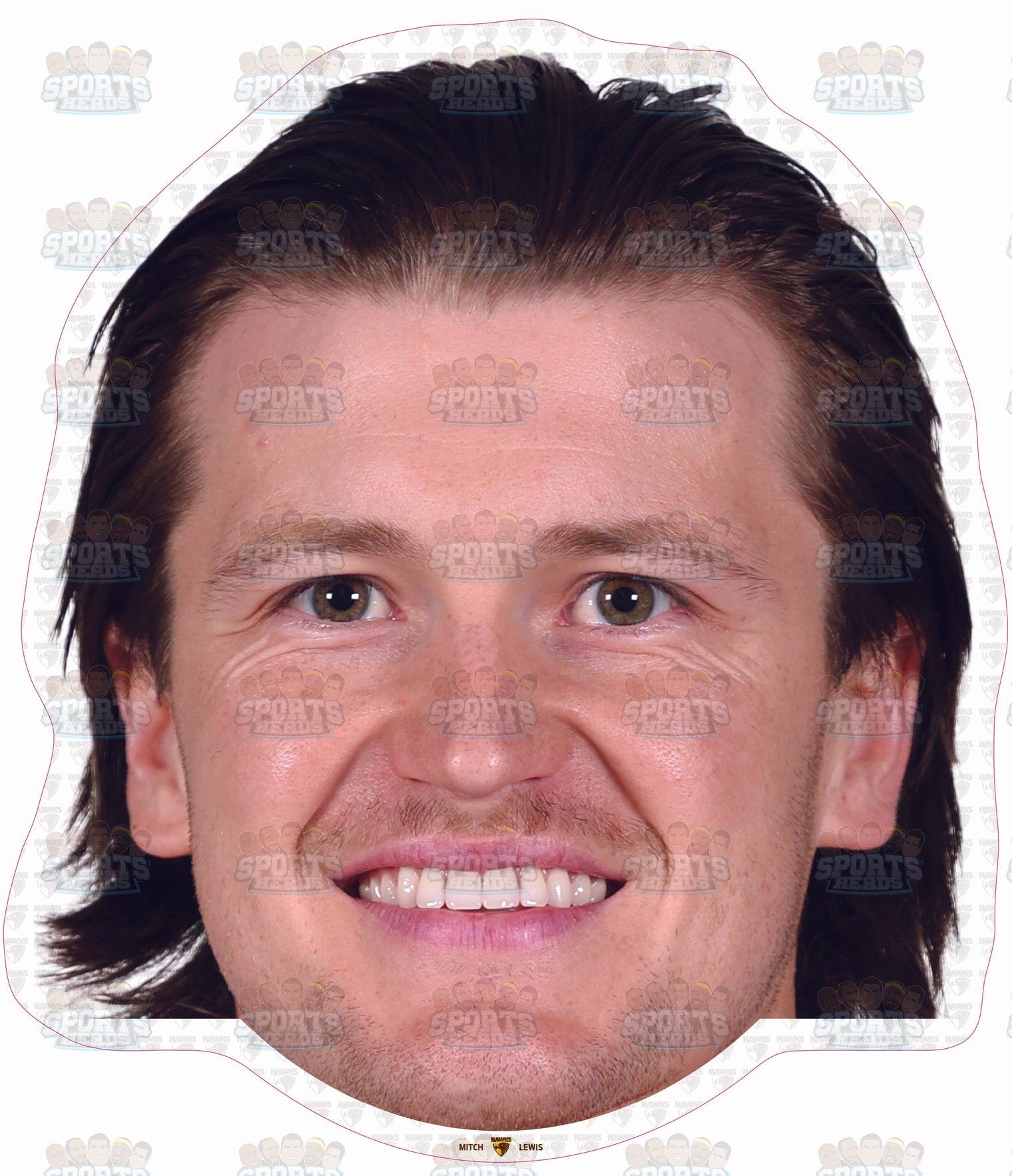 Mitch Lewis