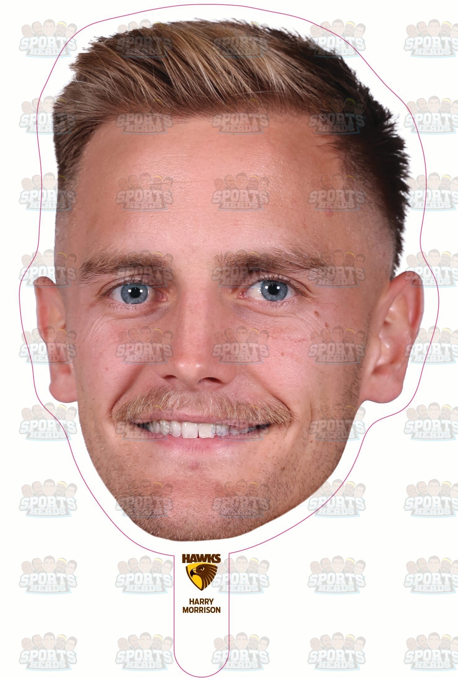 Harry Morrison