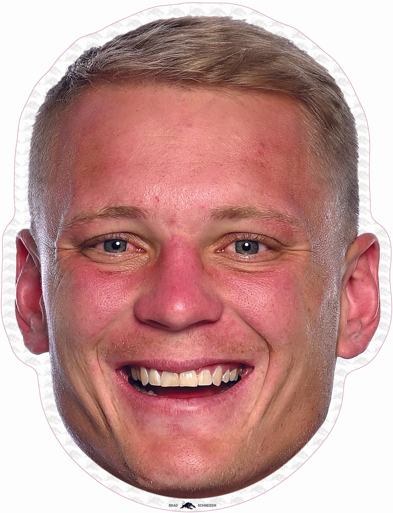Brad Schneider