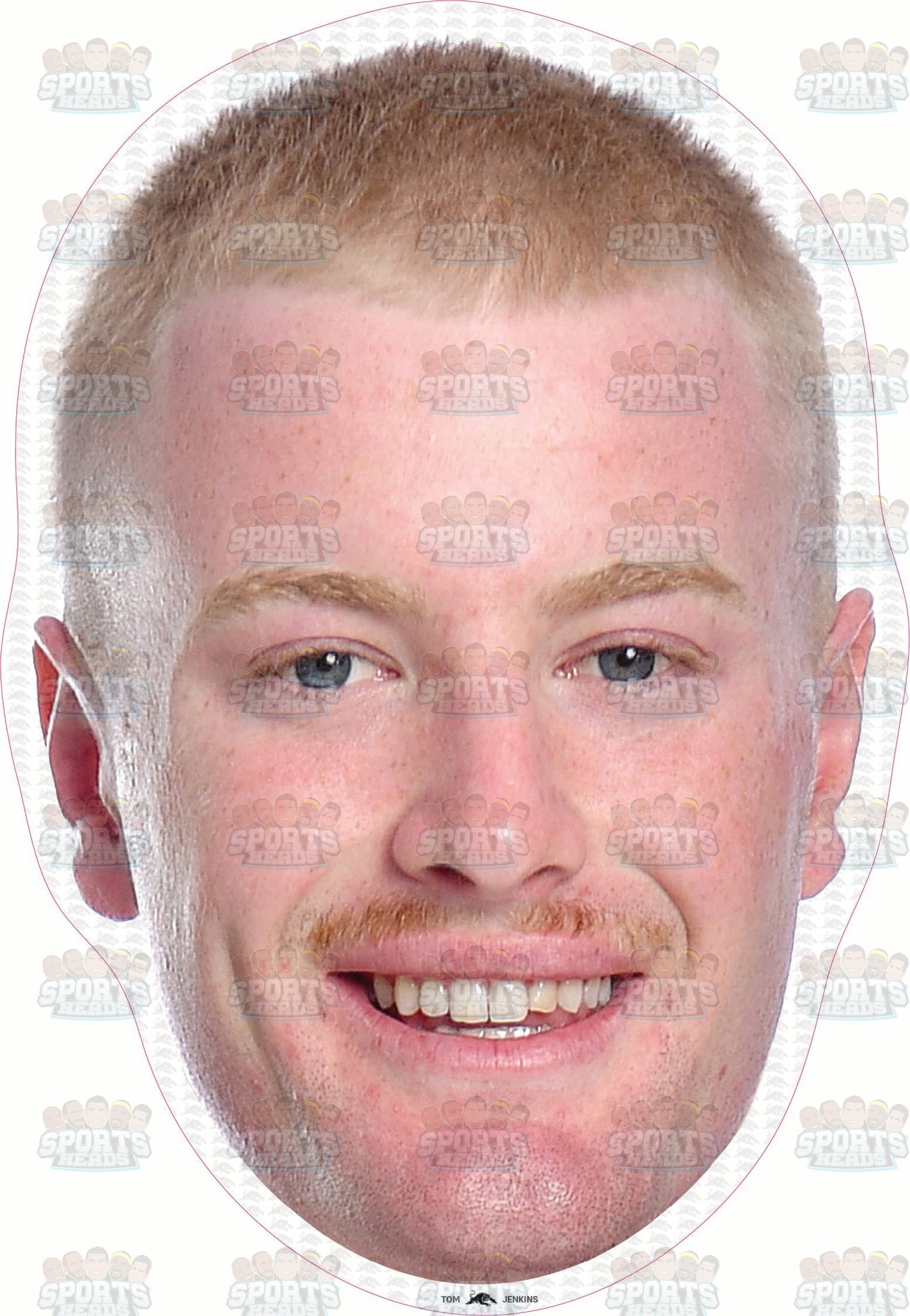 Tom Jenkins