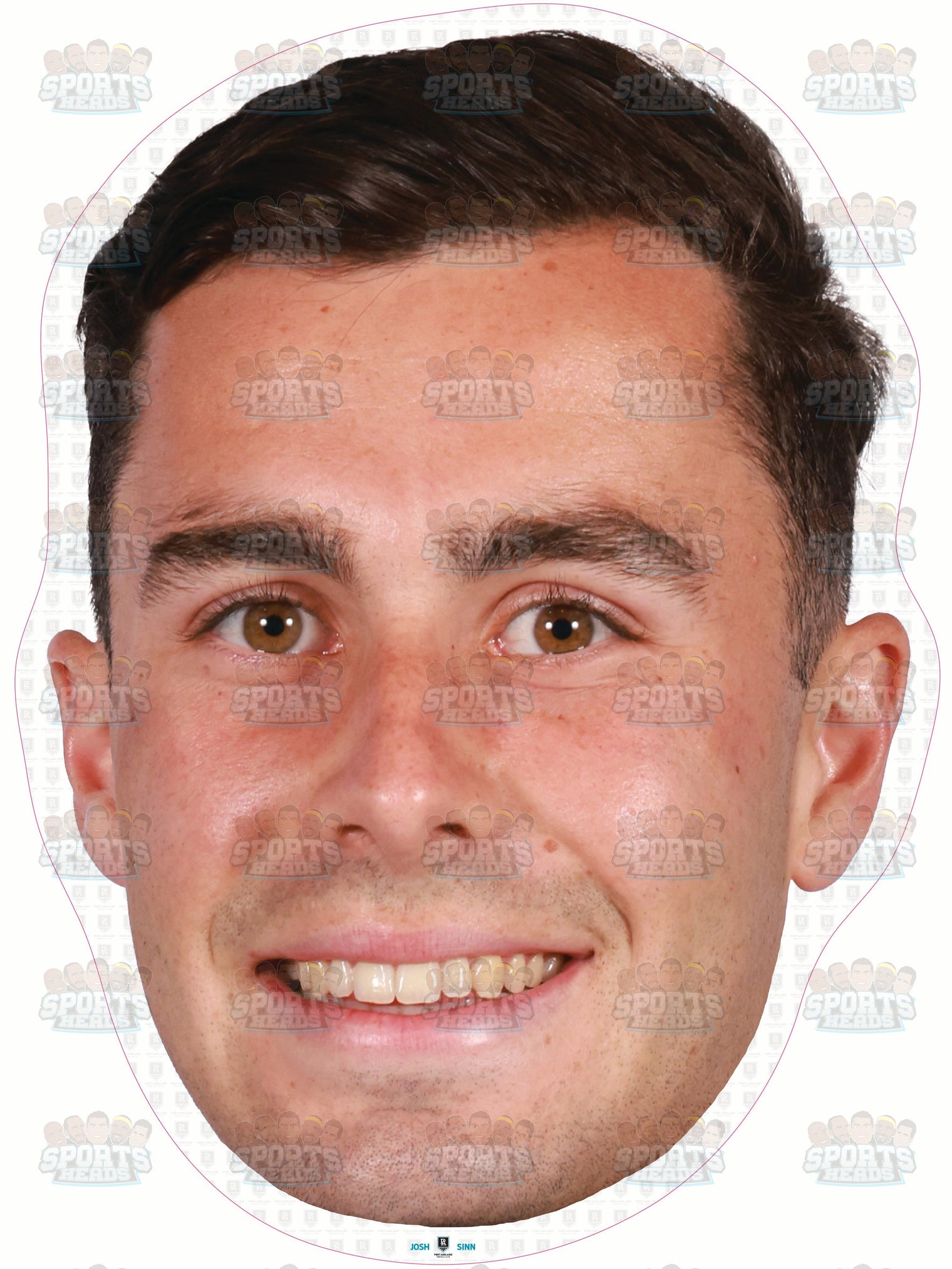 Josh Sinn