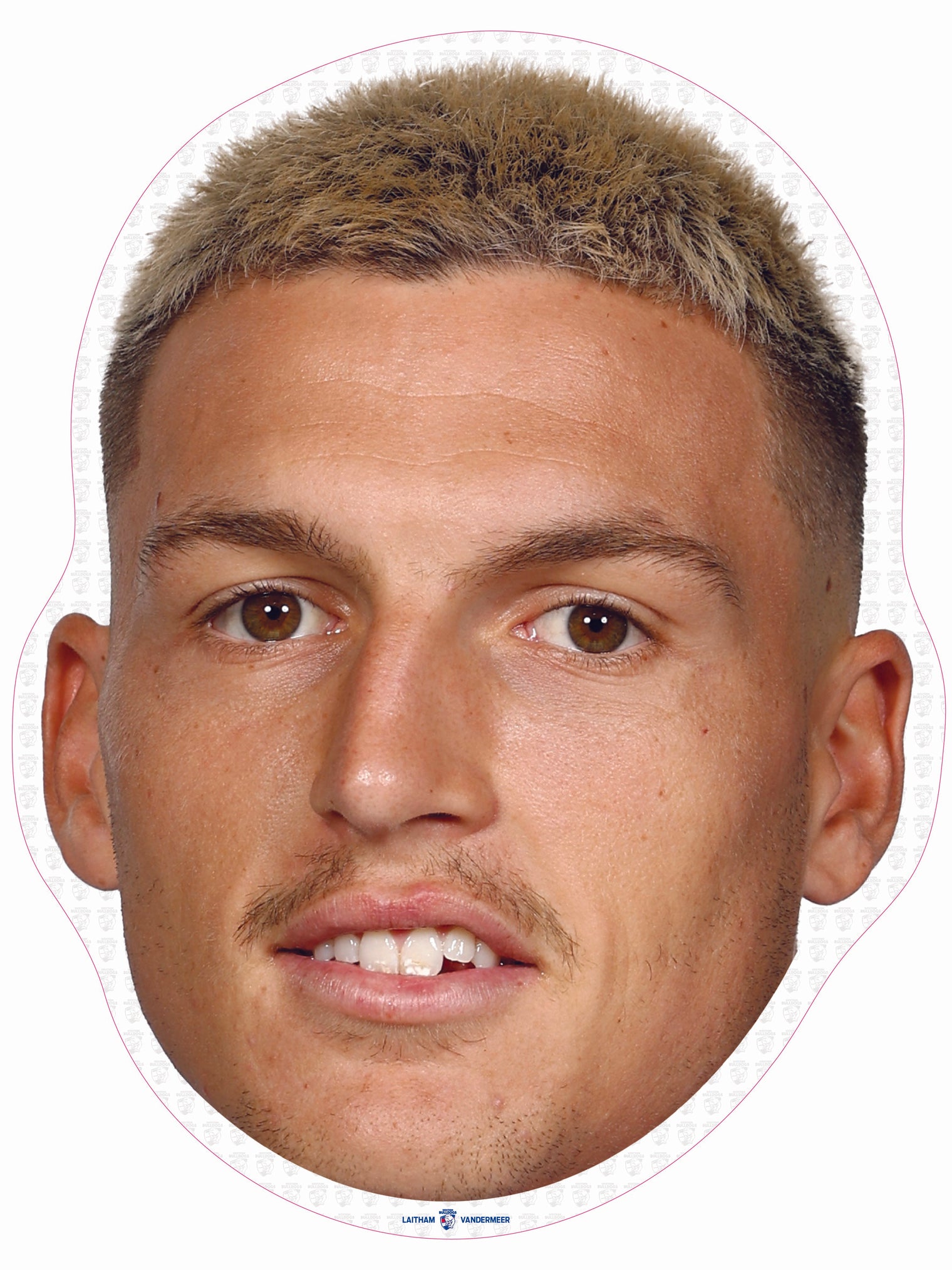 Laitham Vandermeer