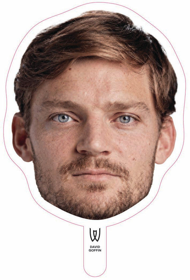 David Goffin