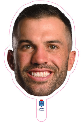James Tedesco New South Wales Blues Small clearance cut-out