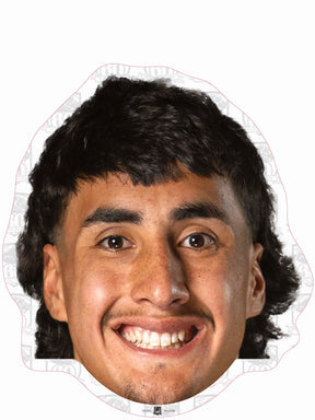 Casey McLean Penrith Panthers Large clearance cut-out