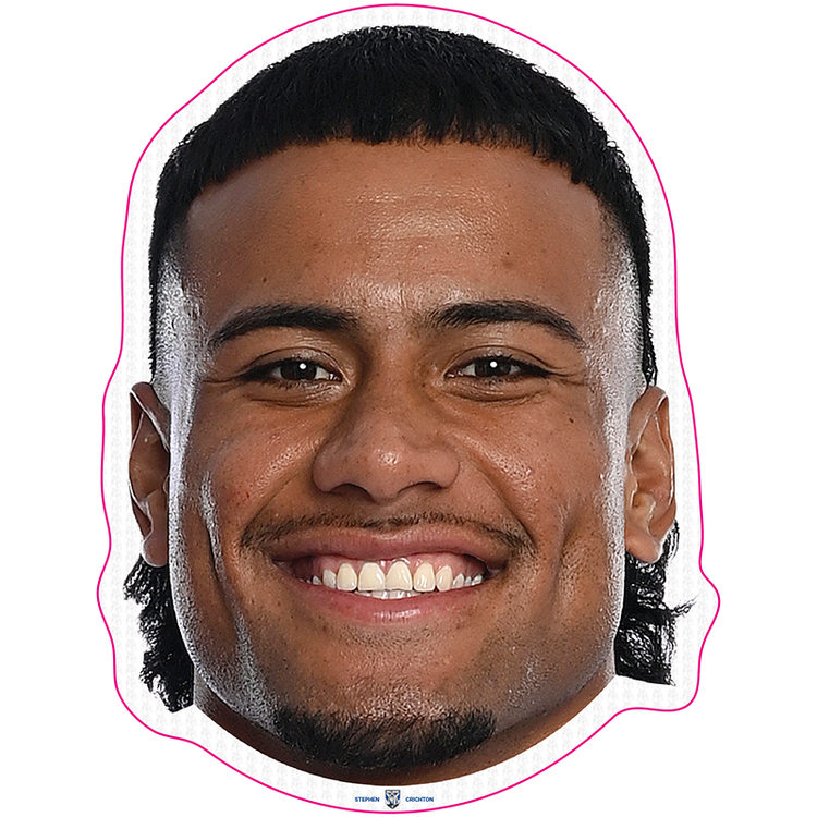 Canterbury Bankstown Bulldogs Sports Heads canterbury-bankstown-bulldogs-sports-heads