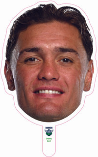 Danny Levi