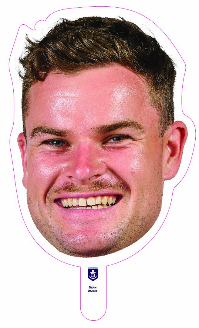 Sean Darcy
