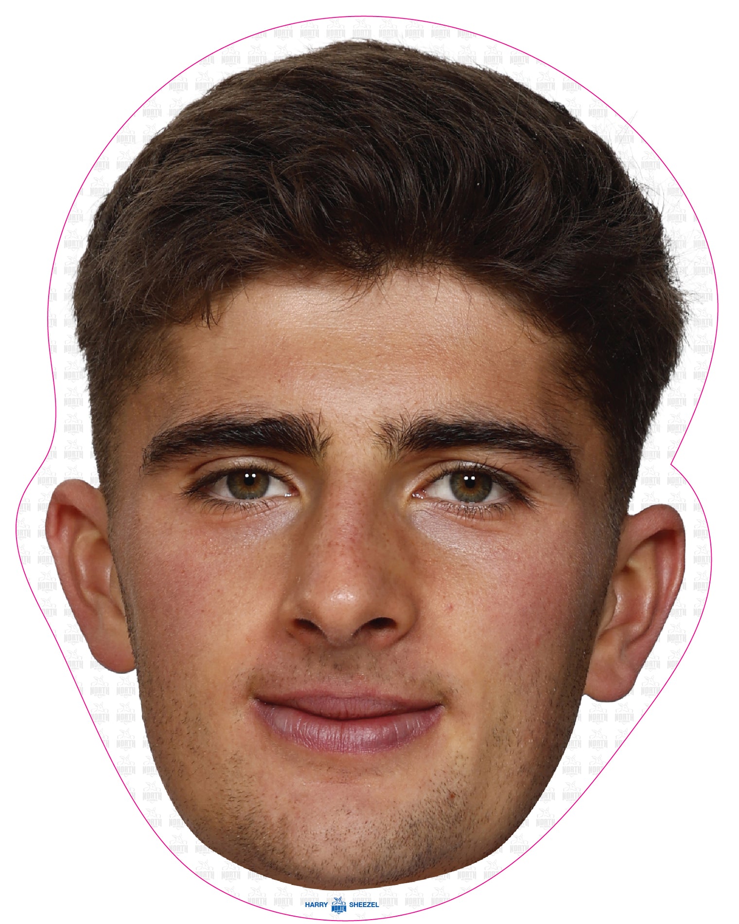 Harry Sheezel