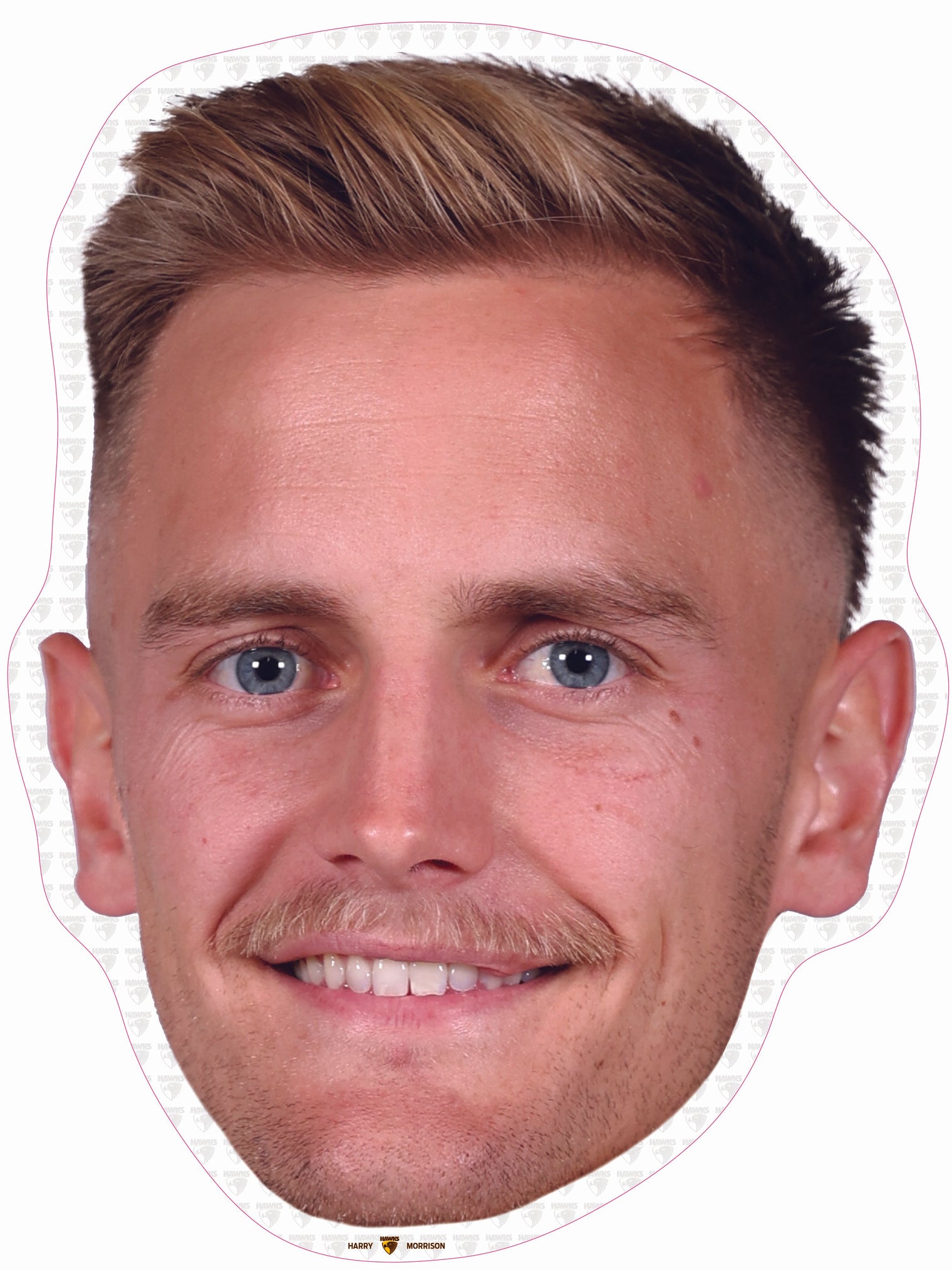 Harry Morrison