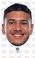 Isaiah Iongi Parramatta Eels Small clearance cut-out