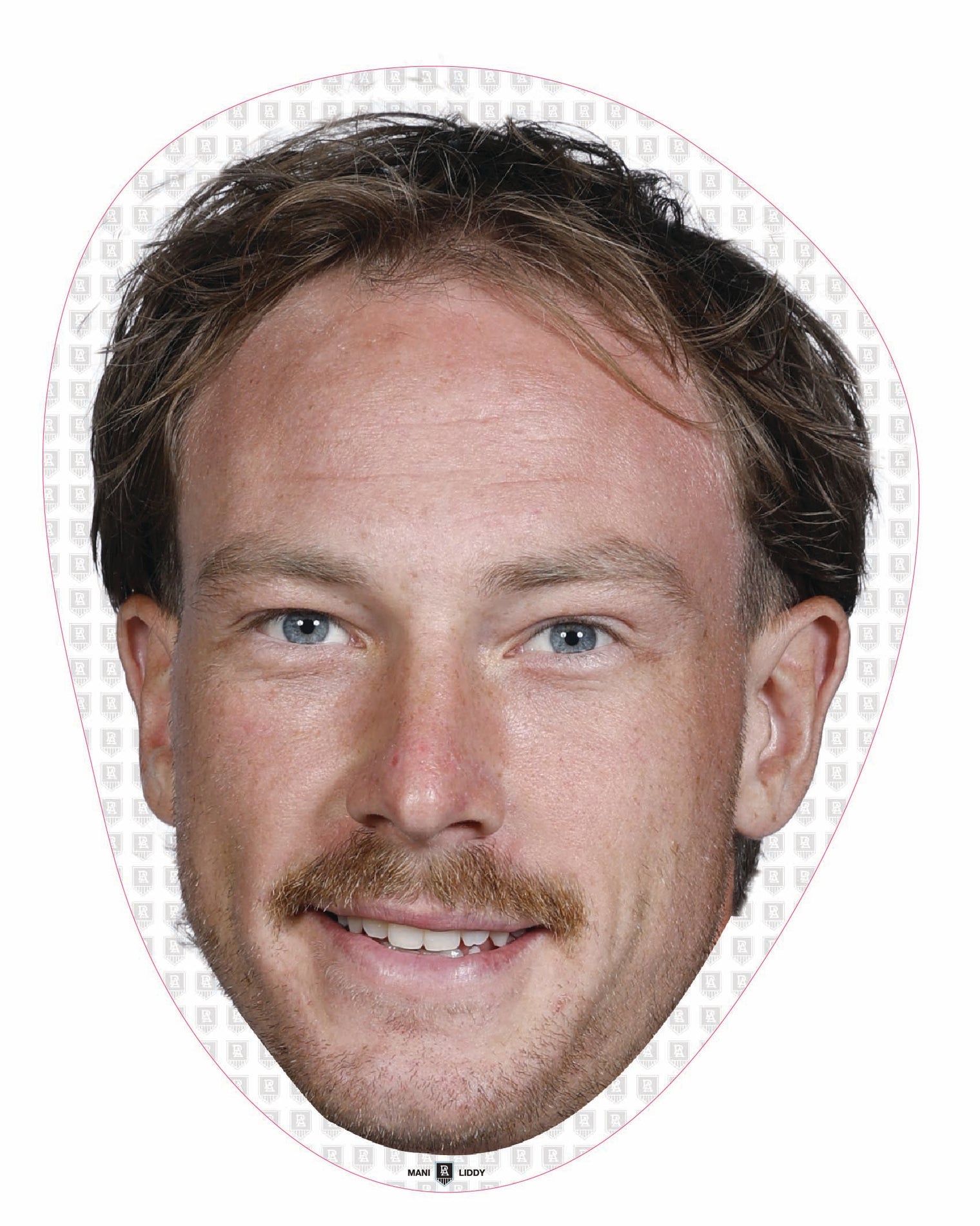 Mani Liddy
