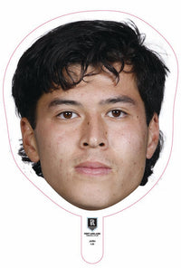Josh Lai