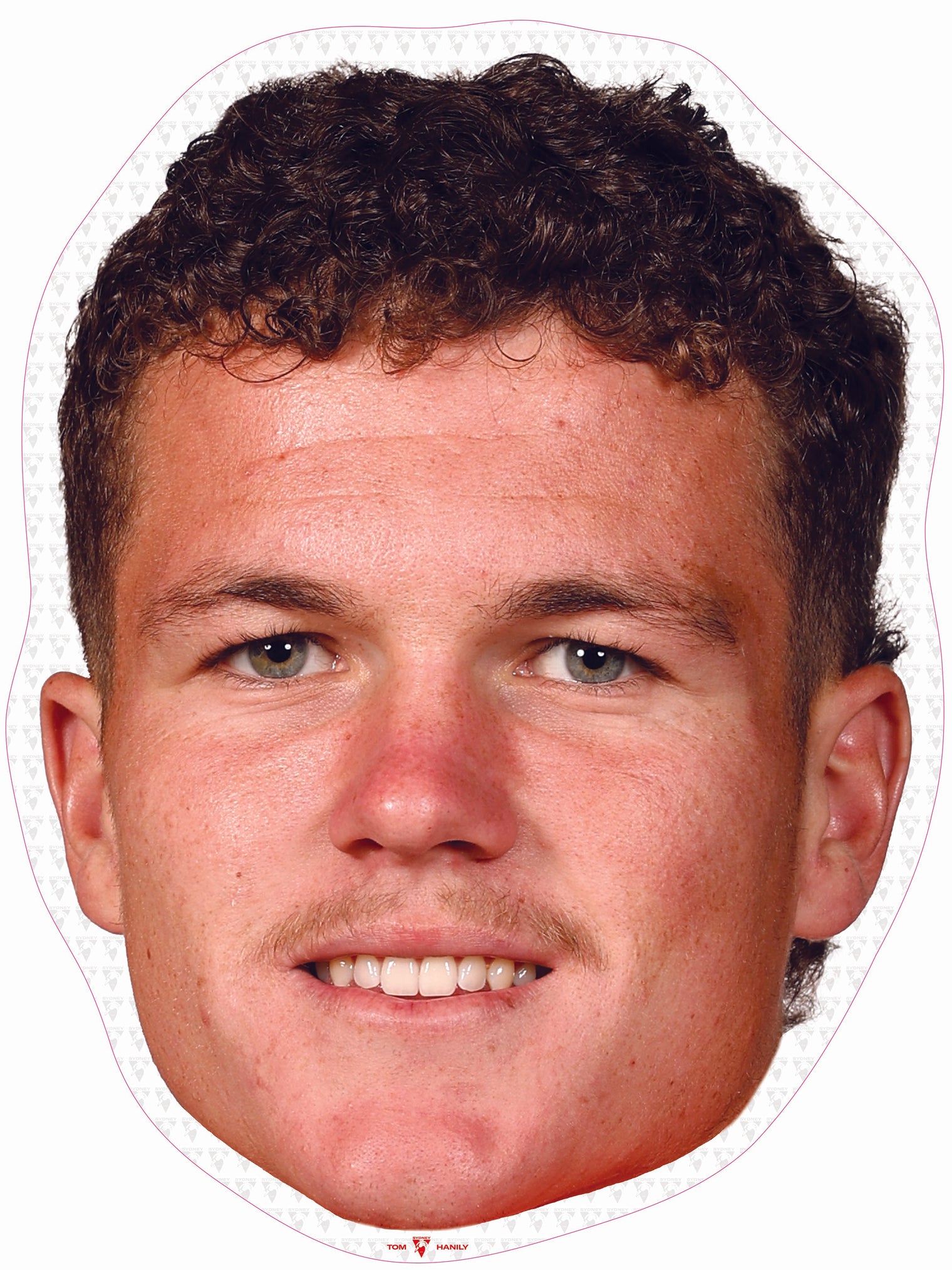 Tom Hanily
