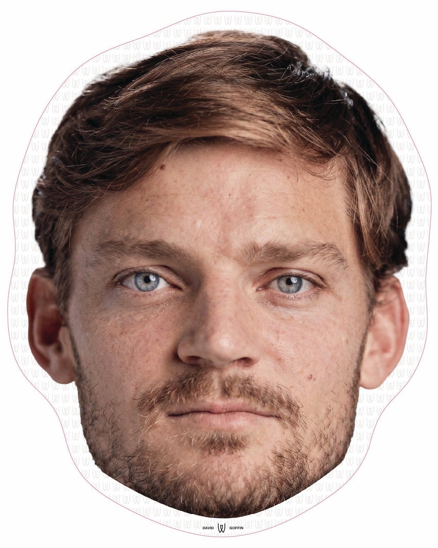 David Goffin