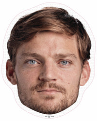 David Goffin